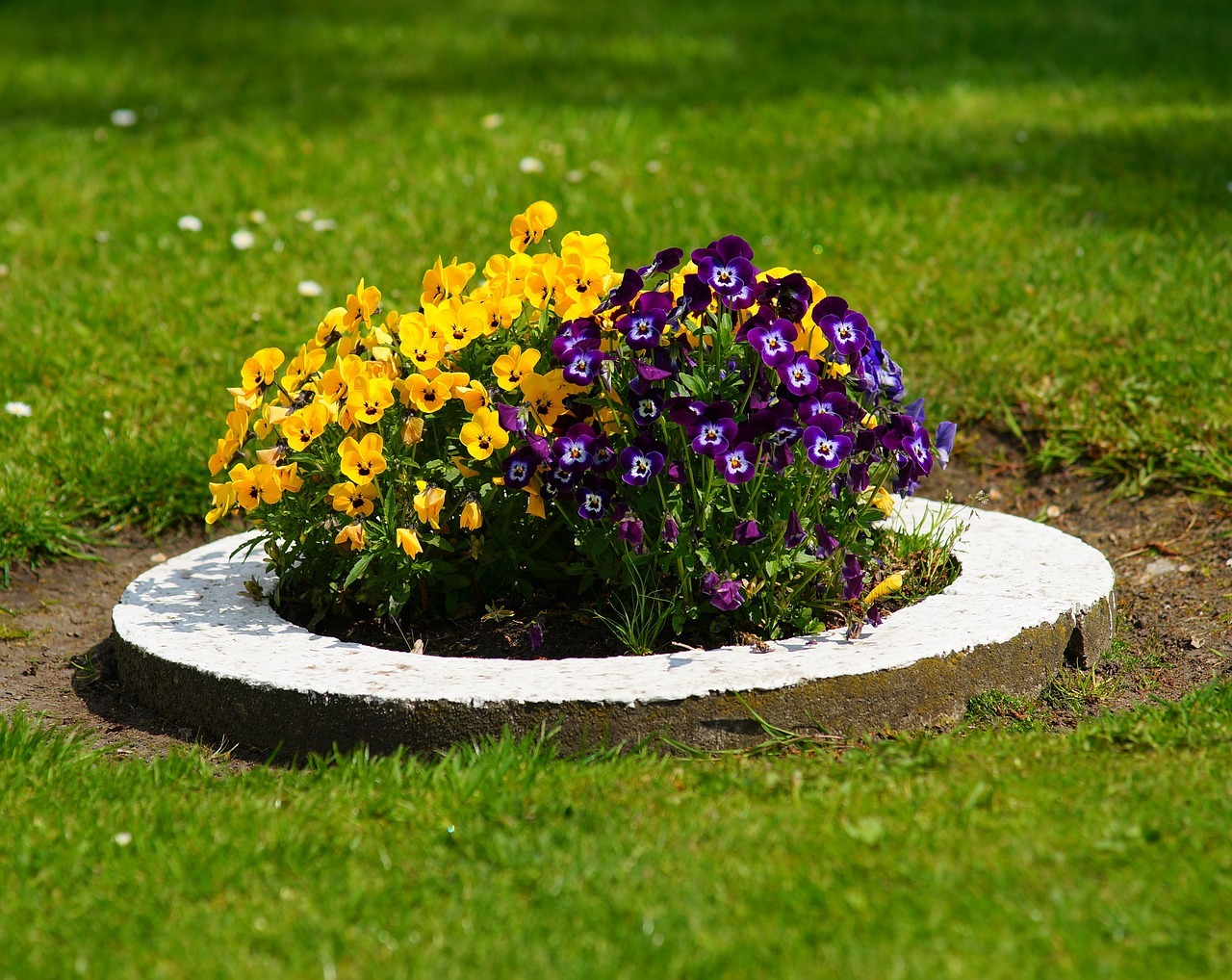 Bonita Springs Lawn Care and Landscaping Quote