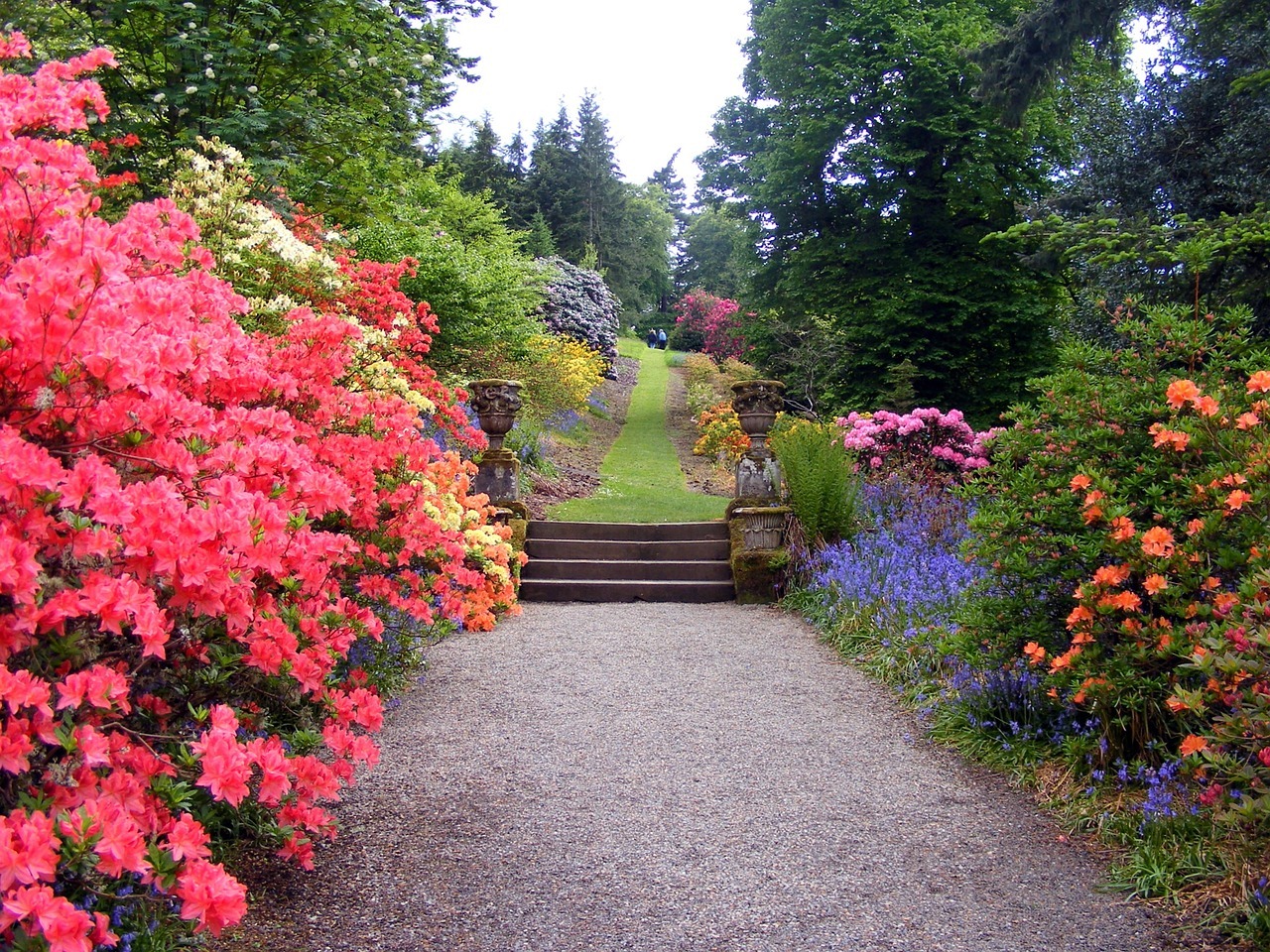 Lawn Care and Landscaping Bonita Springs FL